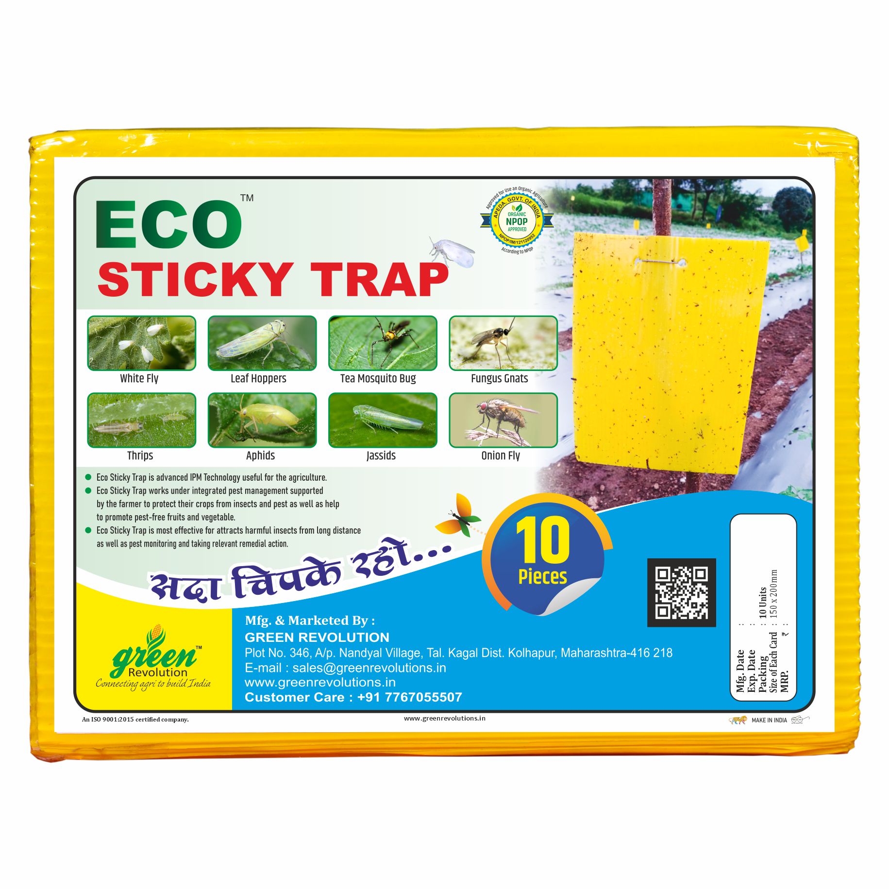 Eco Yellow/Blue mix Sticky Trap A5 Pack of 4 (40 Pieces)