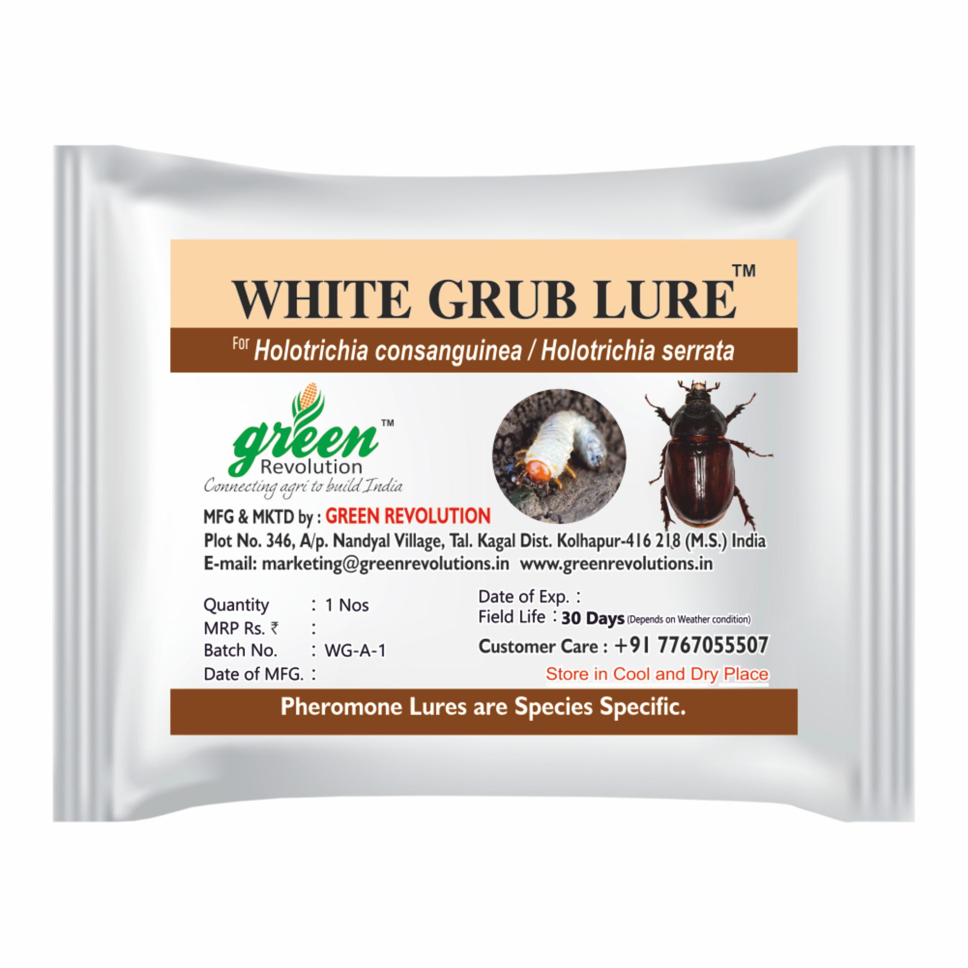 White Grub Lure H. serrata H consungunia ( pack of 10 )