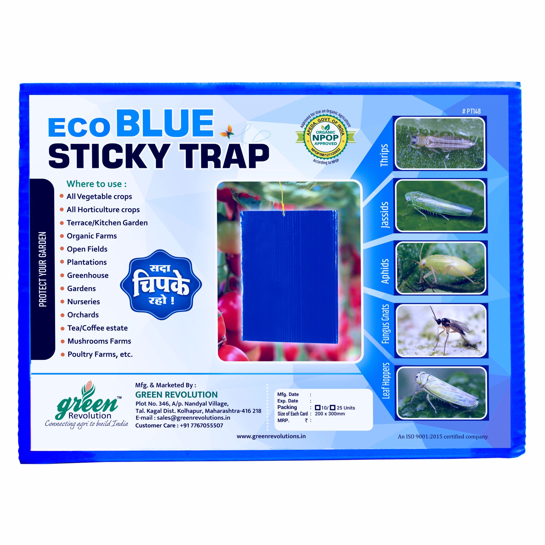 Eco Blue Sticky Trap pack of 25 Size A5, 150mm* 200mm Pack of 4 (100 Pieces)