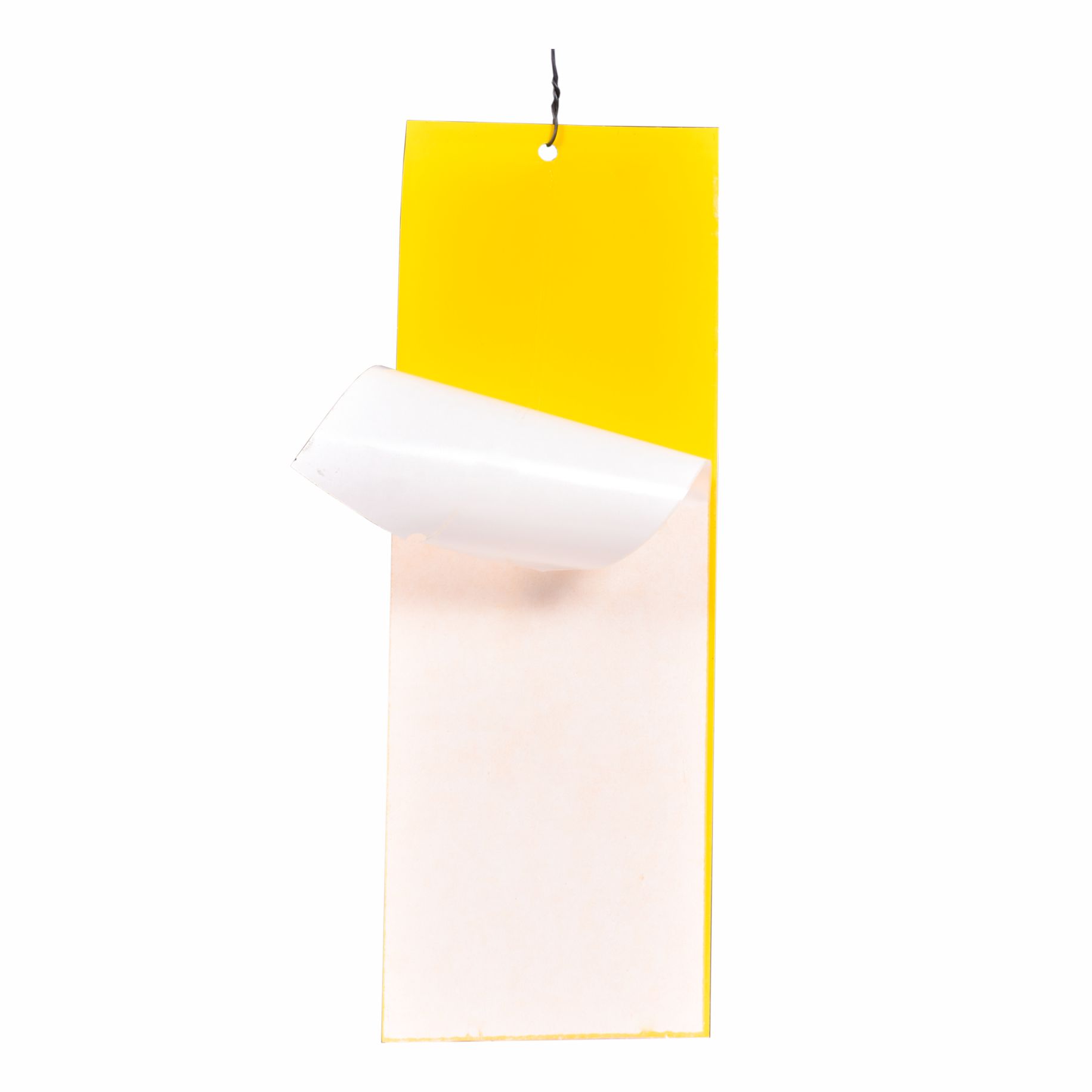 PVC Yellow Sticky Trap 11*28 ( Pack of 10 )