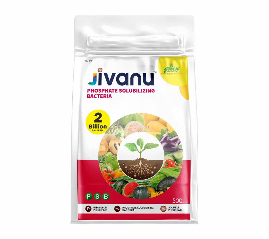 Jivanu PSB (Phosphate Solubilizing Bacteria – PSB)  Pack of 1 (500 Gram)