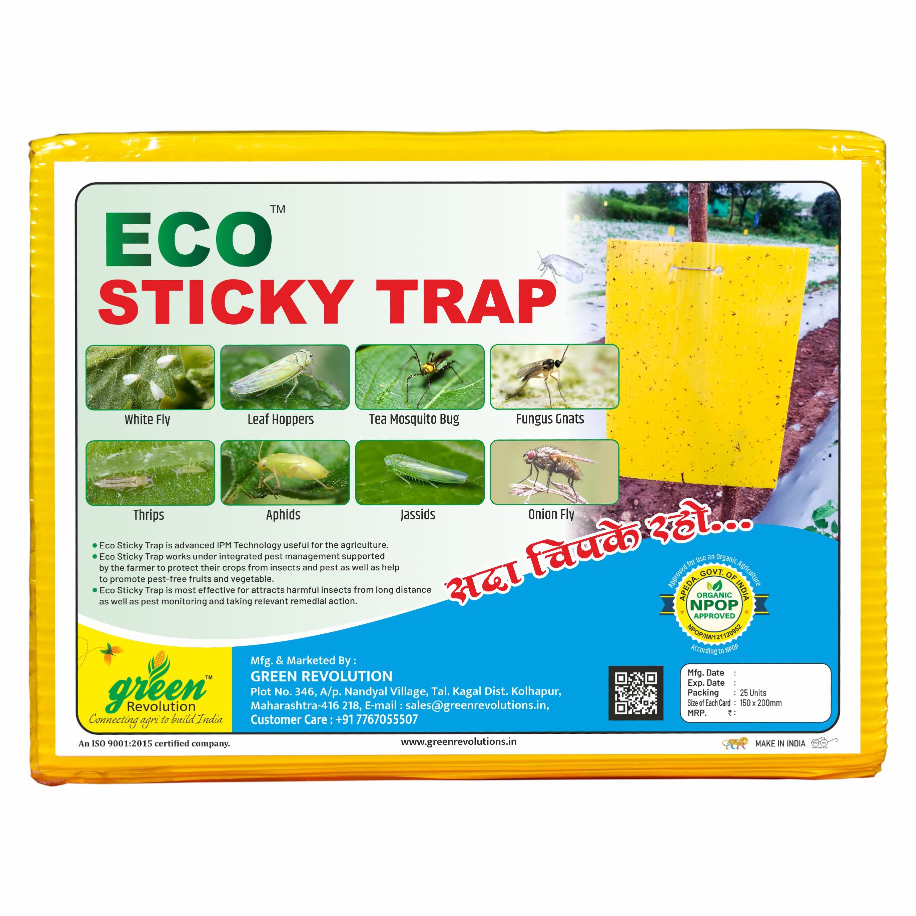 Eco Yellow/Blue mix Sticky Trap size A5,150mm*200mm pack of 4 (100 Pieces )