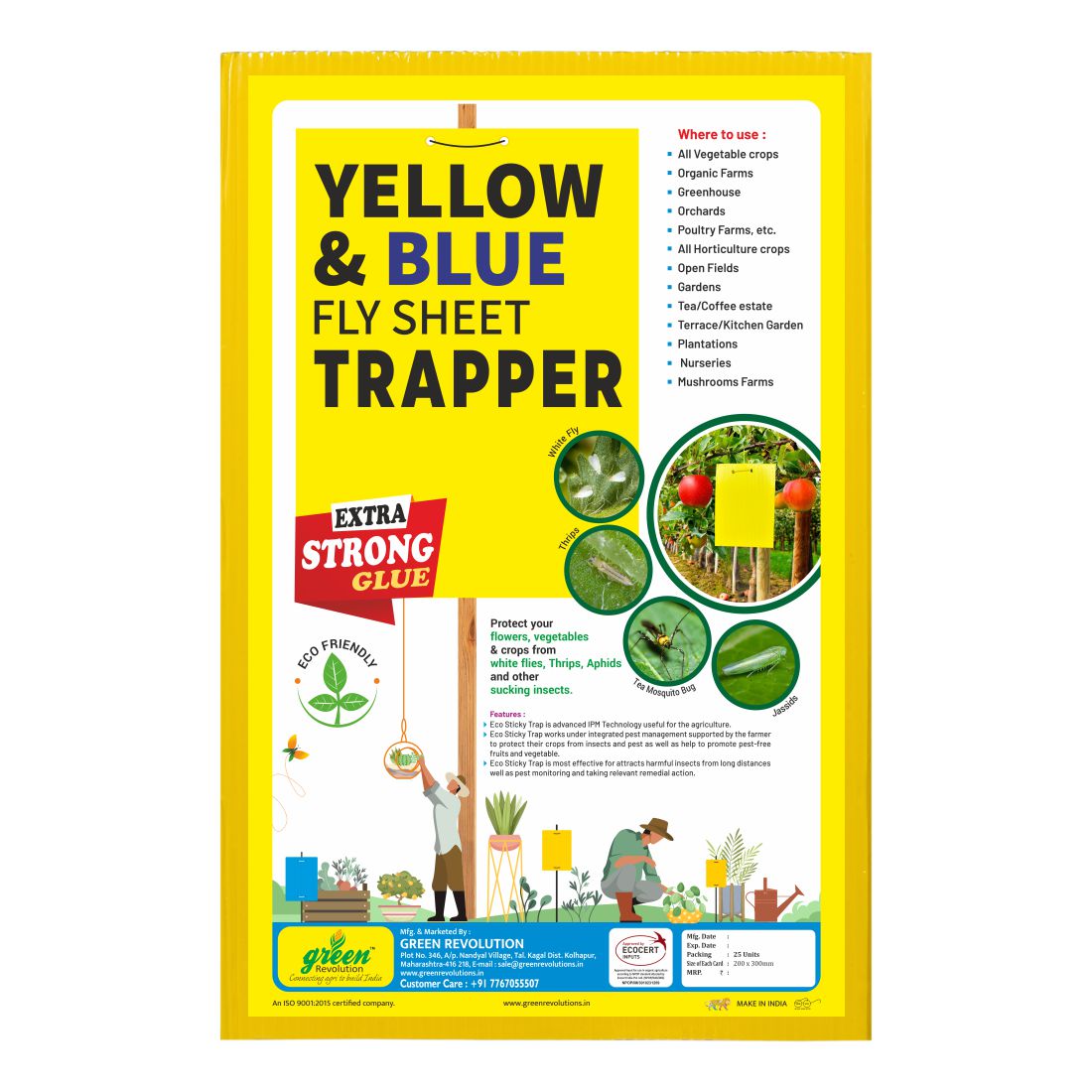 Eco Yellow/Blue Sticky Trap size A4,200mm*300mm pack of 4  - 100 pieces