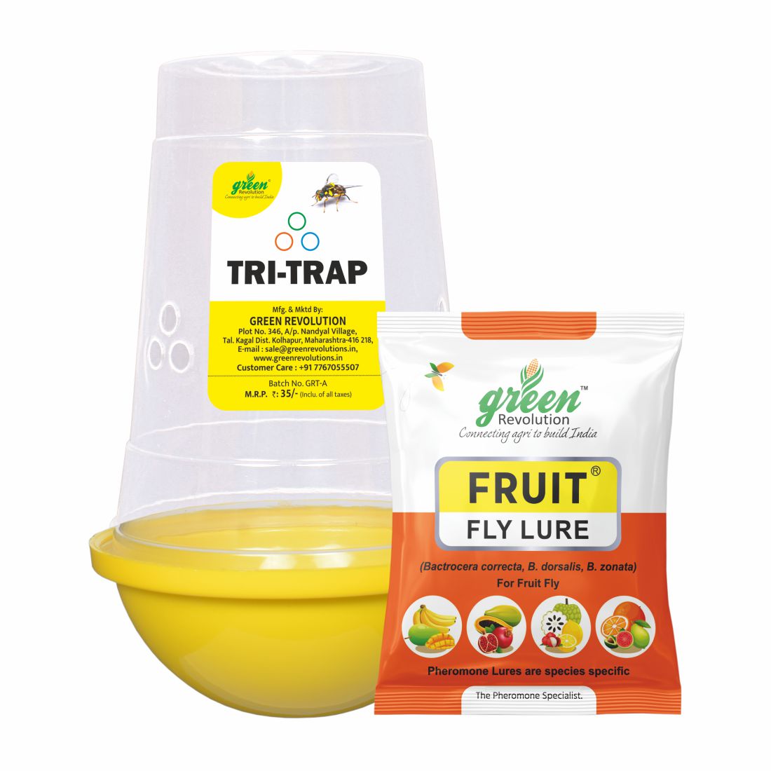 Fruit Fly Trap/ TRI-Trap With Fruit Fly Lure - Pack of 10