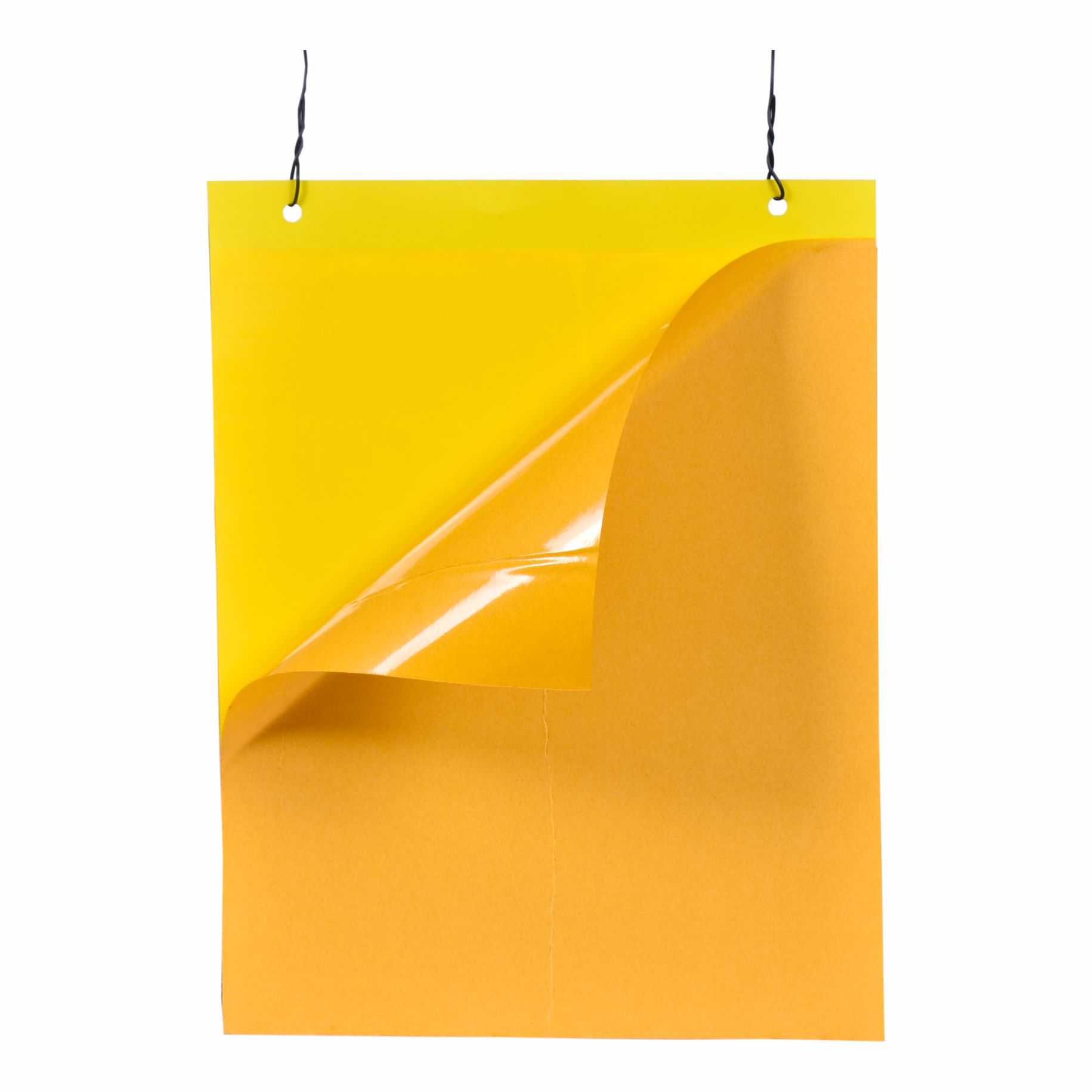 Yellow Sticky Trap 22*28 ( Pack of 10 )