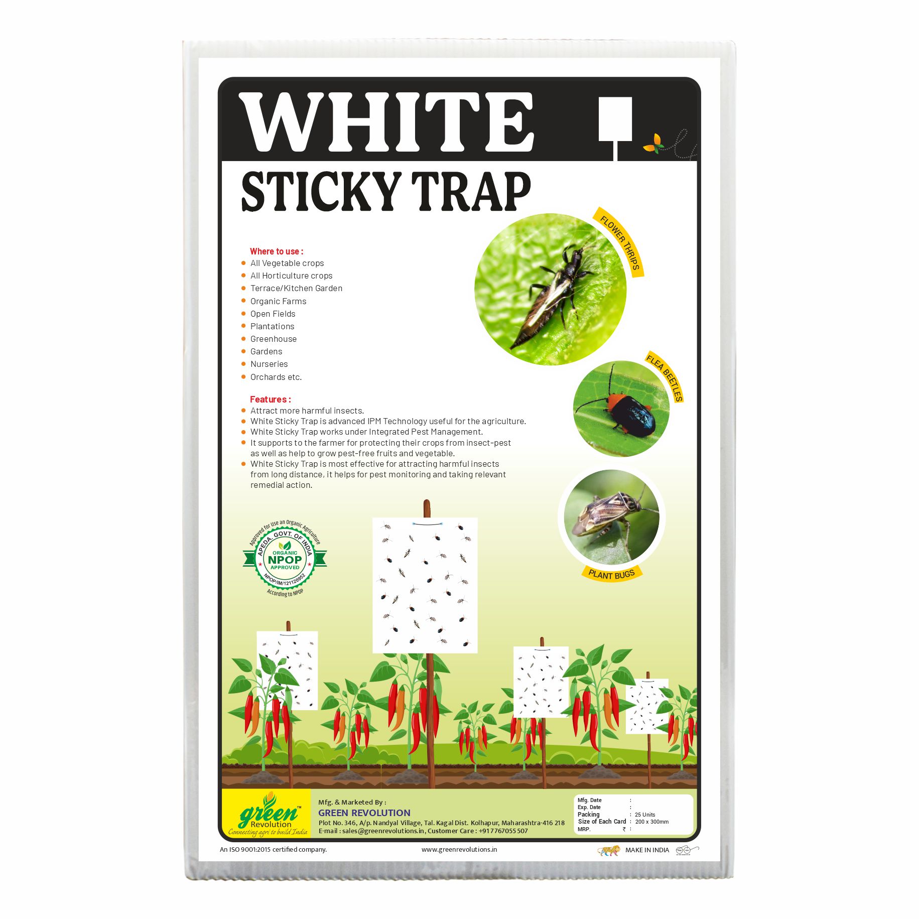 White Sticky Trap size A4,200mm*300mm Pack of 4 (100 pieces)