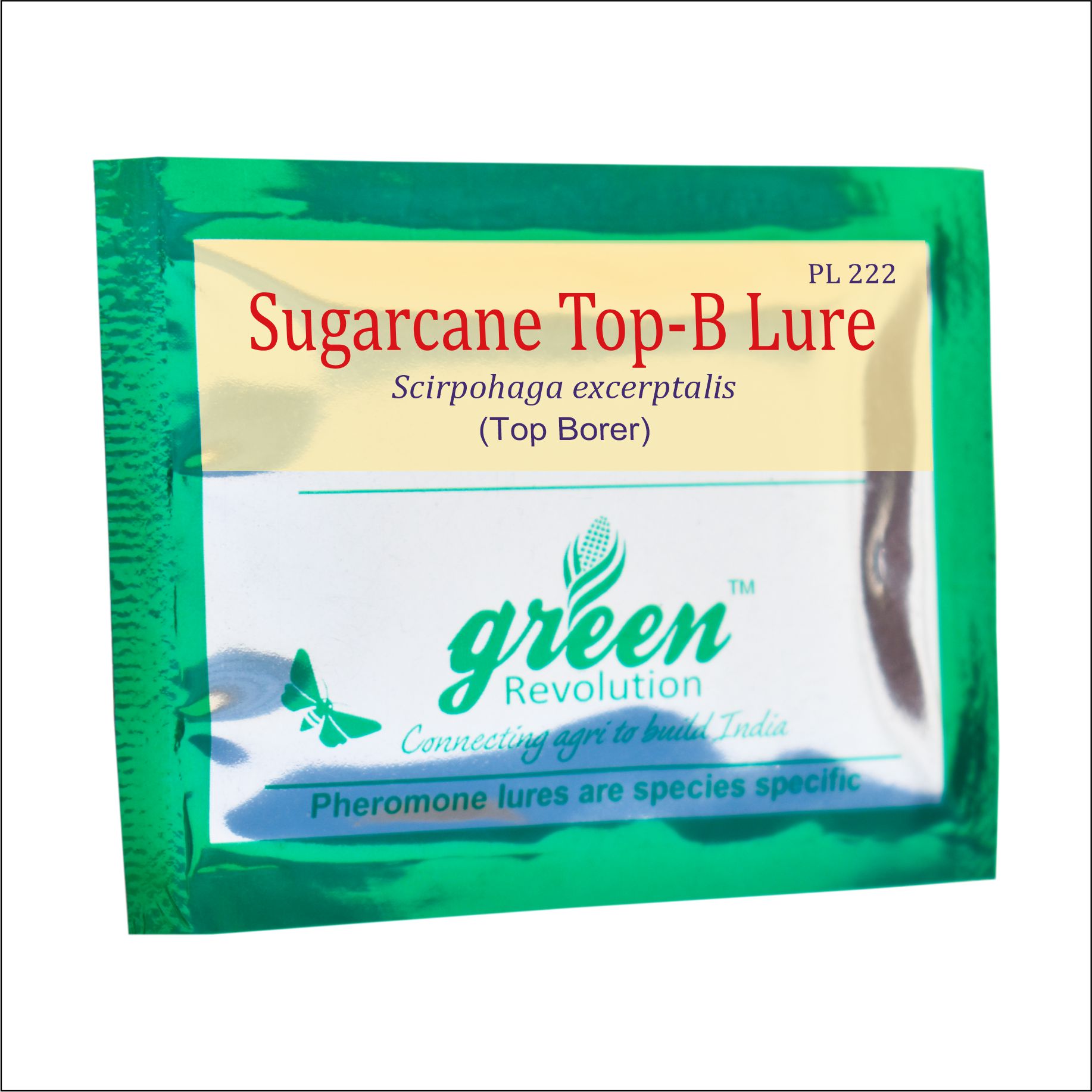 Sugarcane Top-B Lure Scripophaga nivella ( Pack of 10 )