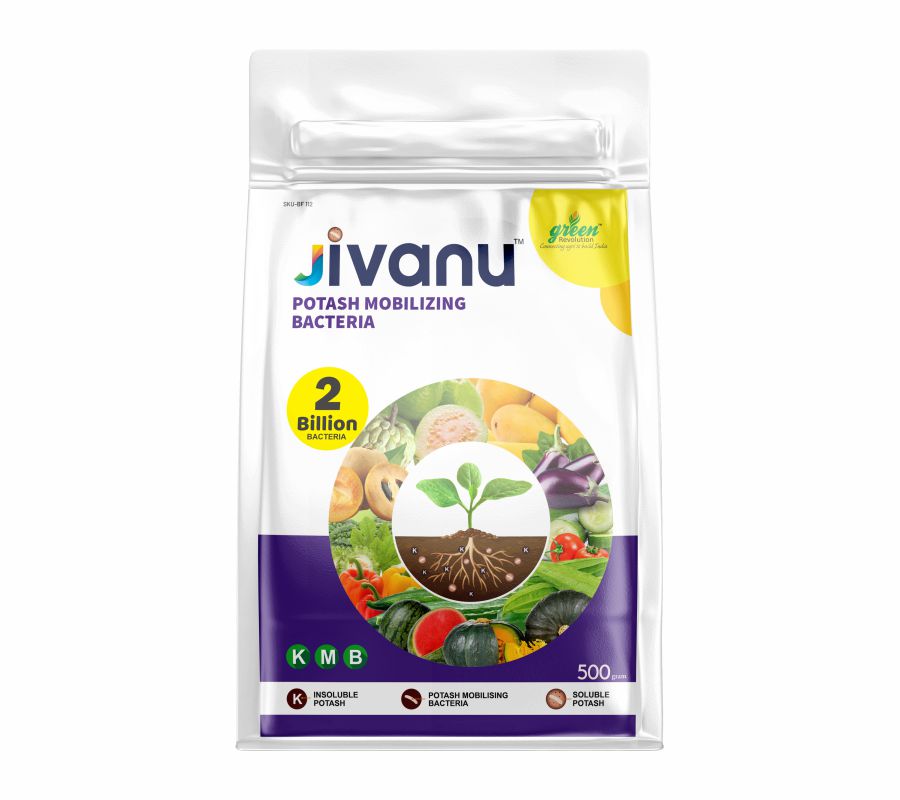 Jivanu (Potassium Solubilizing and Mobilizing Bacteria ) KMB Bio-Fertilizers (500 Gram)