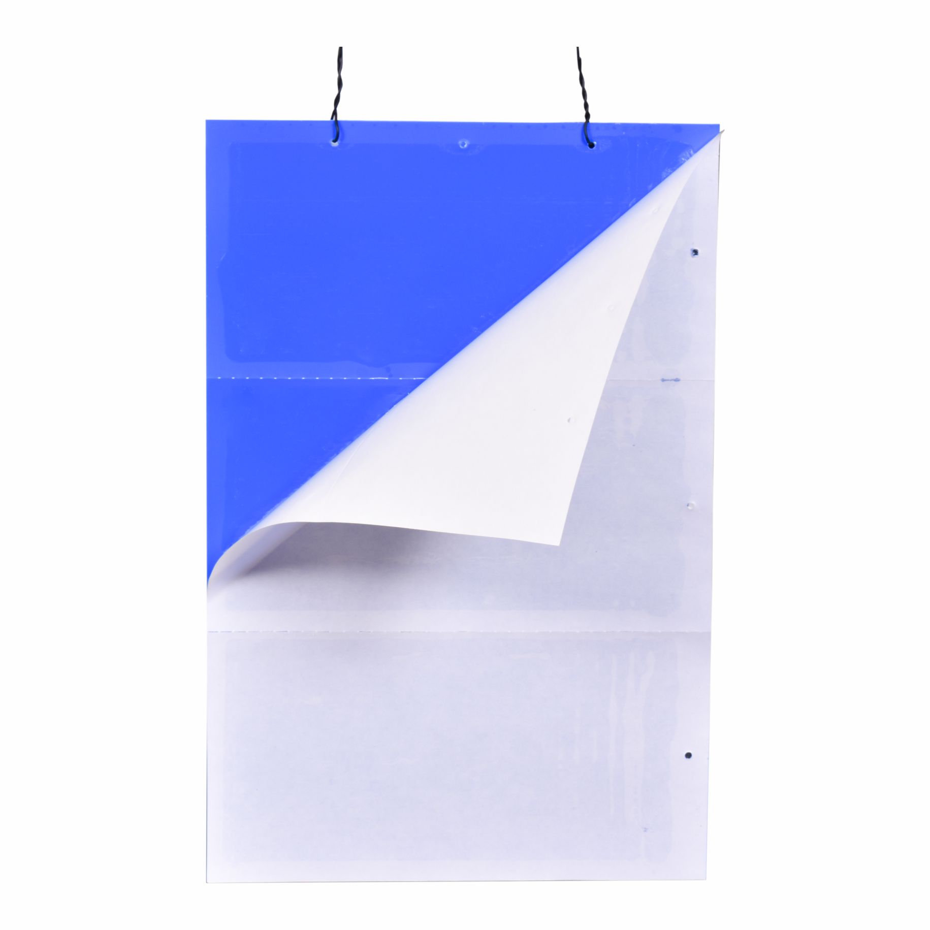 Premium Blue Sticky Trap 25*33 ( Pack of 10 )