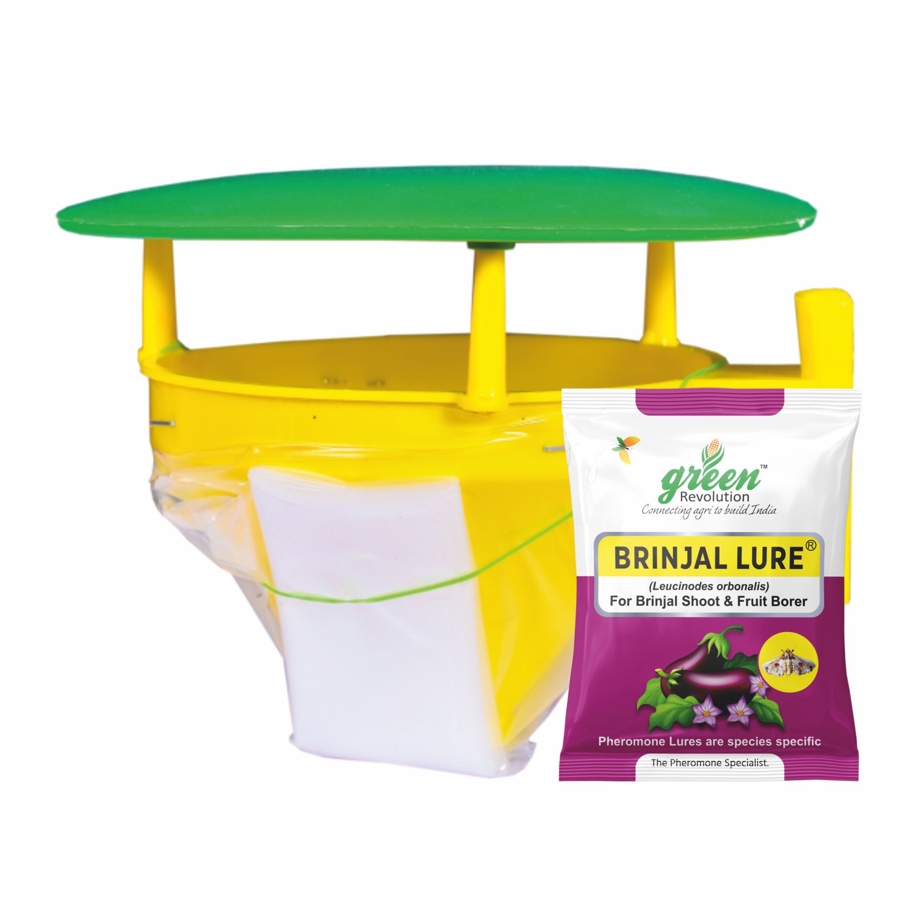 Funnel Trap With Brinjal Lure ( Pack of 10 )