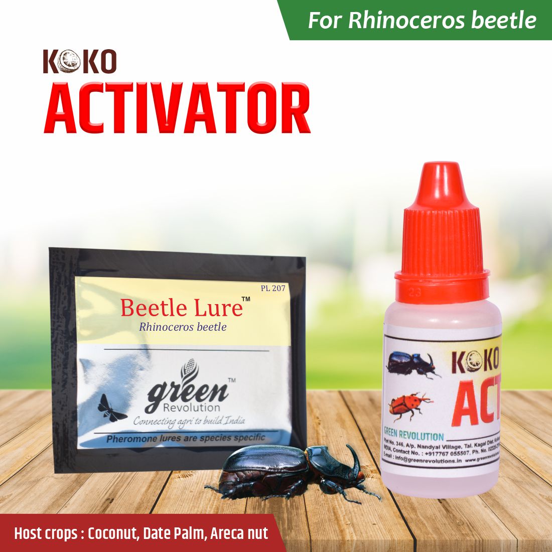 Beetle Lure Rhinoceros beetle ( Pack of 4 )