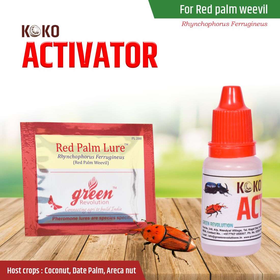 Red Palm Lure Red palm weevil ( Pack of 4)